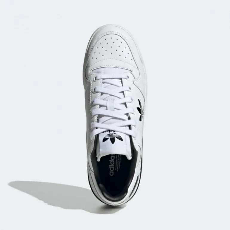 Adidas Forum Bold