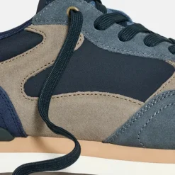 Hoff City Venice