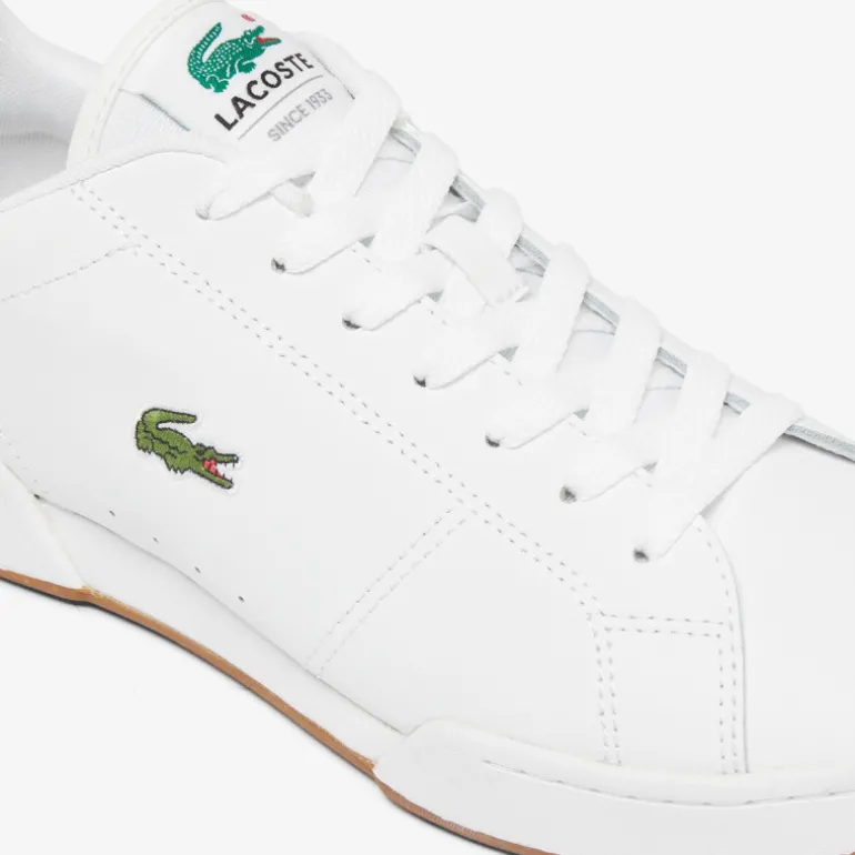 Lacoste Carnaby Cup