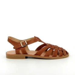 Meduse Sunville