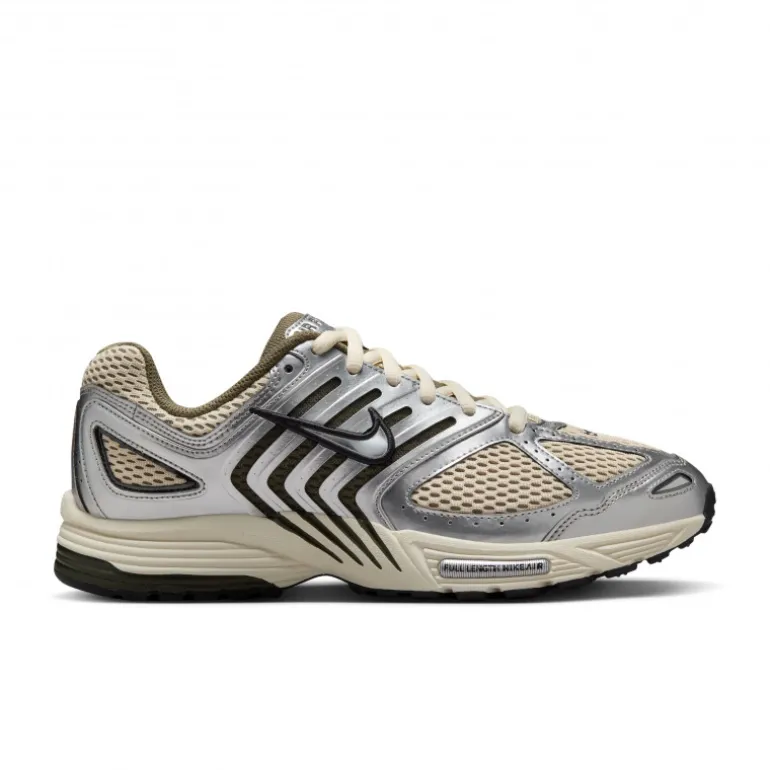 Nike Air Pegasus 2005