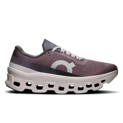On Cloudmonster 1