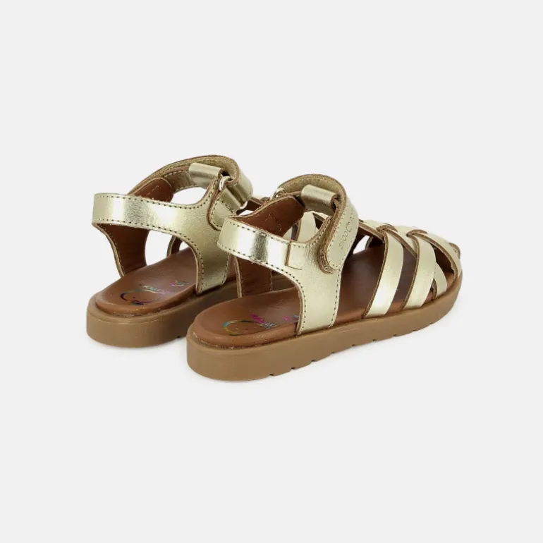 Shoo Pom Kerala easy strap