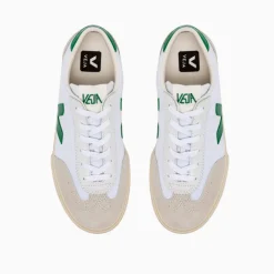 Veja Volley Canvas